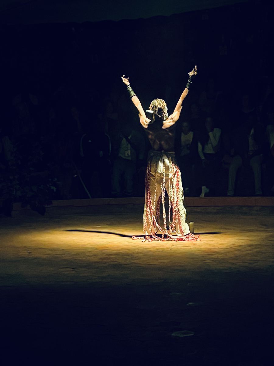 A dancer under a spotlight with arms raised, before a seated audience